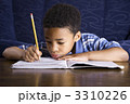 3310226