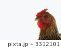 3312101