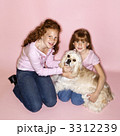 3312239