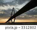 3312802