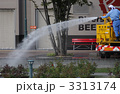 3313174