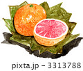 grapefruit11104pix