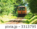 3313795