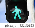 青信号