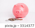 豚貯金箱