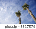 3317579