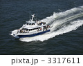 3317611