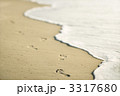 3317680