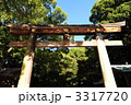 森に包まれる明治神宮　鳥居