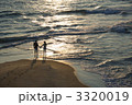 3320019