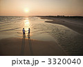3320040