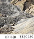 3320480