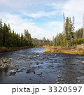 3320597