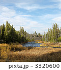 3320600