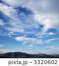 3320602