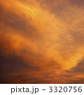 3320756