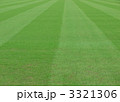 サッカー場の芝生