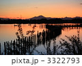多々良沼の自然風景