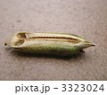 金ゴマ