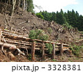 伐採後の山林