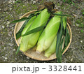 とうもろこし