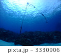水中V　沖縄　ケラマ諸島　慶良間諸島　ブイ　