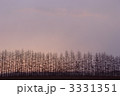 防風林
