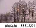 防風林