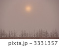 防風林