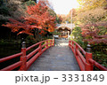 貫井神社　紅葉