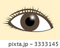 瞳