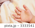 3333541