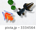 金魚のつぶやき