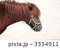 馬