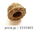 小鳥の巣 　つぼ巣