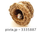 小鳥の巣