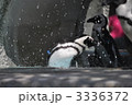 水浴びペンギン