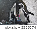 水浴びペンギン