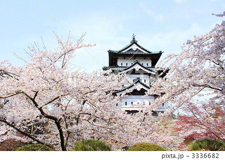 春満開の弘前城 春満開の弘前城