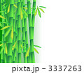 竹林