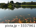 岡山後楽園の沢の池と錦鯉