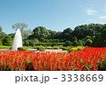 サルビアの咲く庭園