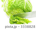 白菜を切る