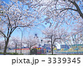 よこはまコスモワールドと桜並木