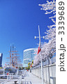 横浜みなとみらいと桜