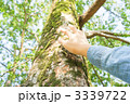 3339722