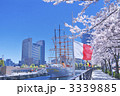 日本丸と桜