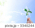 光り輝く葉っぱ