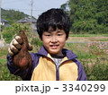 さつま芋掘り