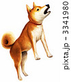 吠える柴犬！